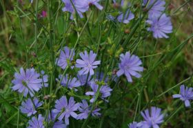 IMGP1221 2000x1328.JPG