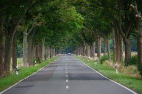 IMGP1234 2000x1328.JPG