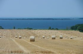 IMGP1267 2000x1328.JPG