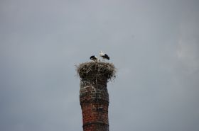 IMGP1235 2000x1328.JPG