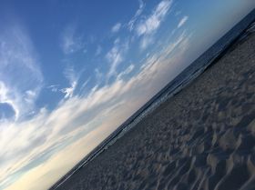 IMG_2195 2000x1499.JPG